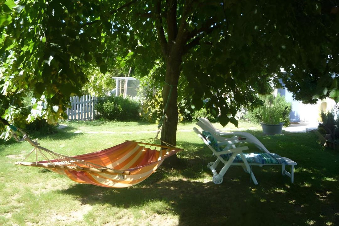 Photo of Others in Chateauneuf-du-Rhone