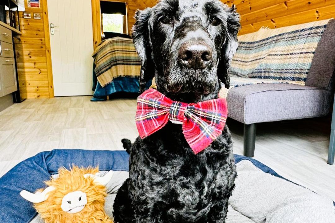 Photo of Others in Brora