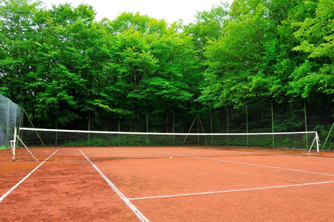 Photo of Others in Paley
