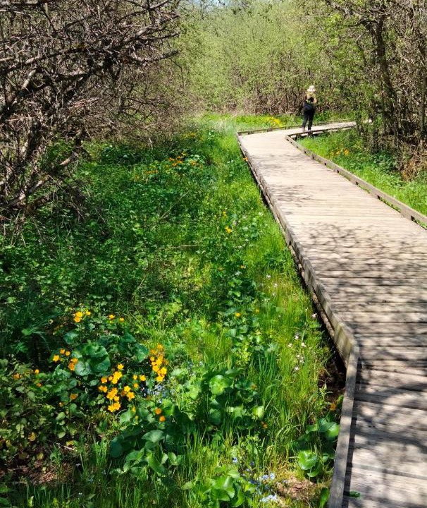 Photo of Others in Cormaranche-en-Bugey