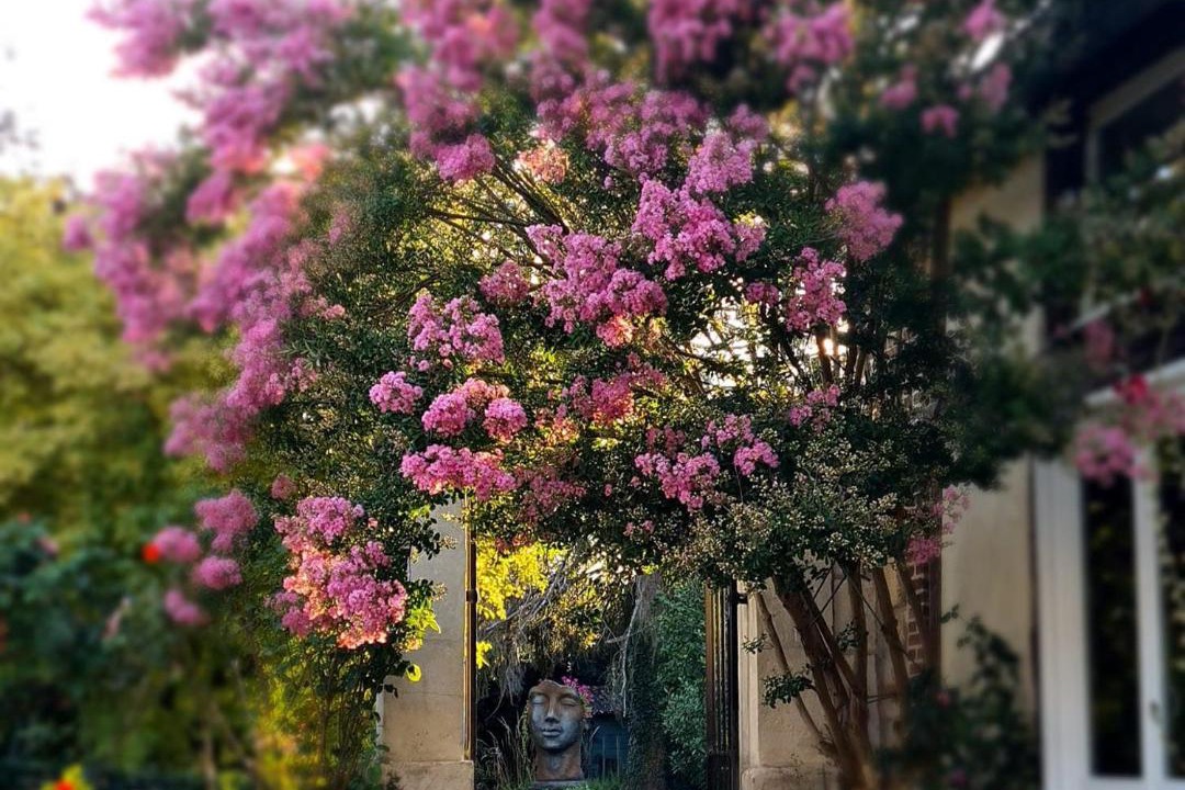 Photo of Others in Charny