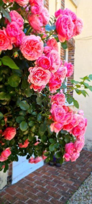 Photo of Others in Charny