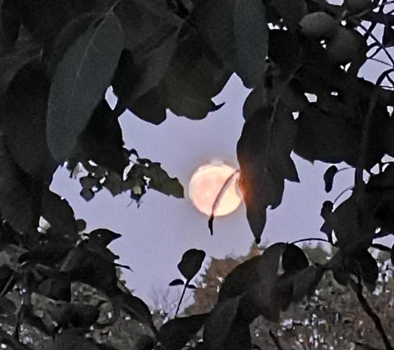 Photo of Others in Nere