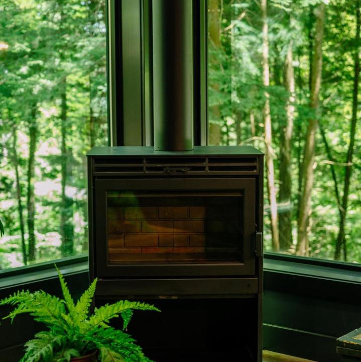 Photo of Livingroom in Loudonville