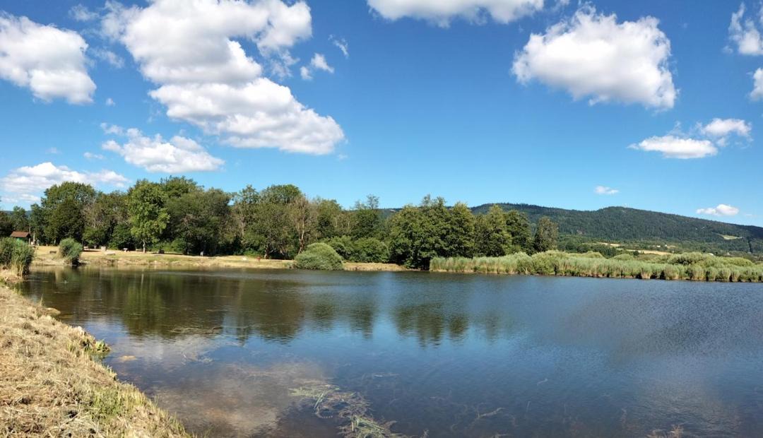 Photo of Others in Cormaranche-en-Bugey