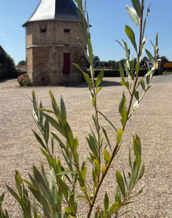 Photo of Others in Forest-Montiers
