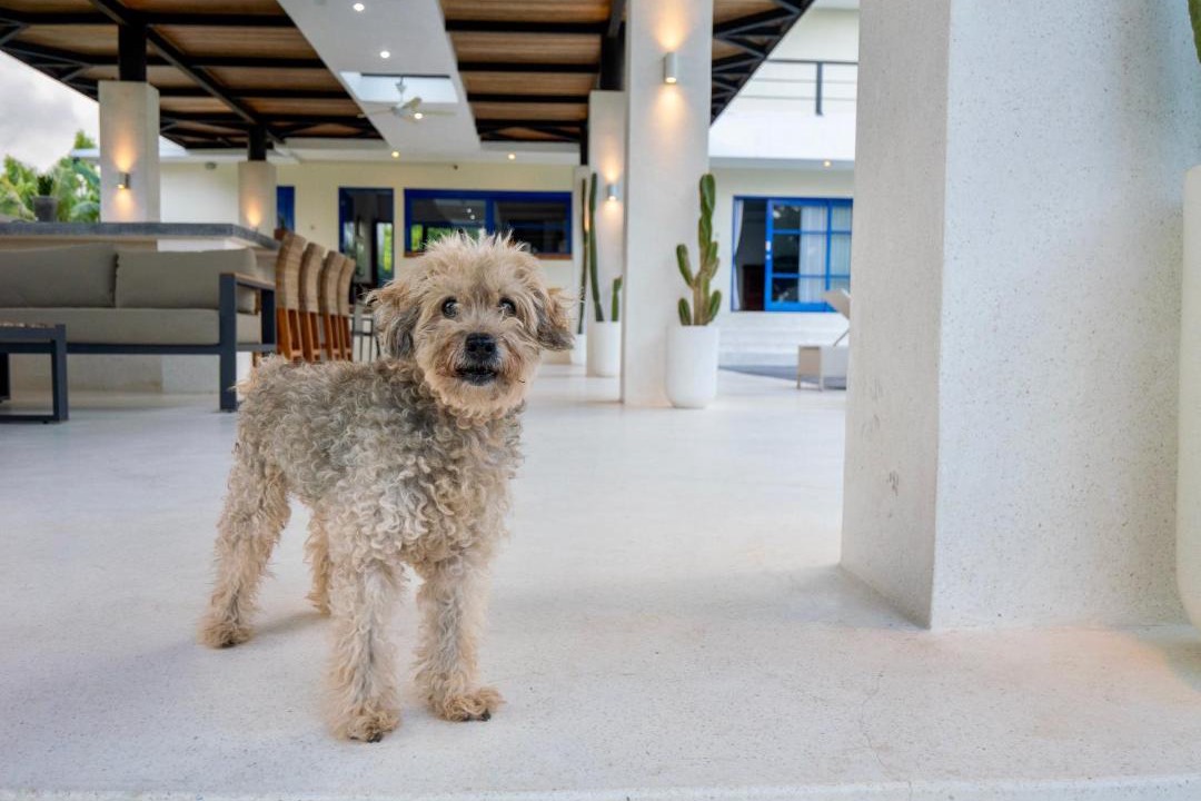 Photo of Others in Tulamben