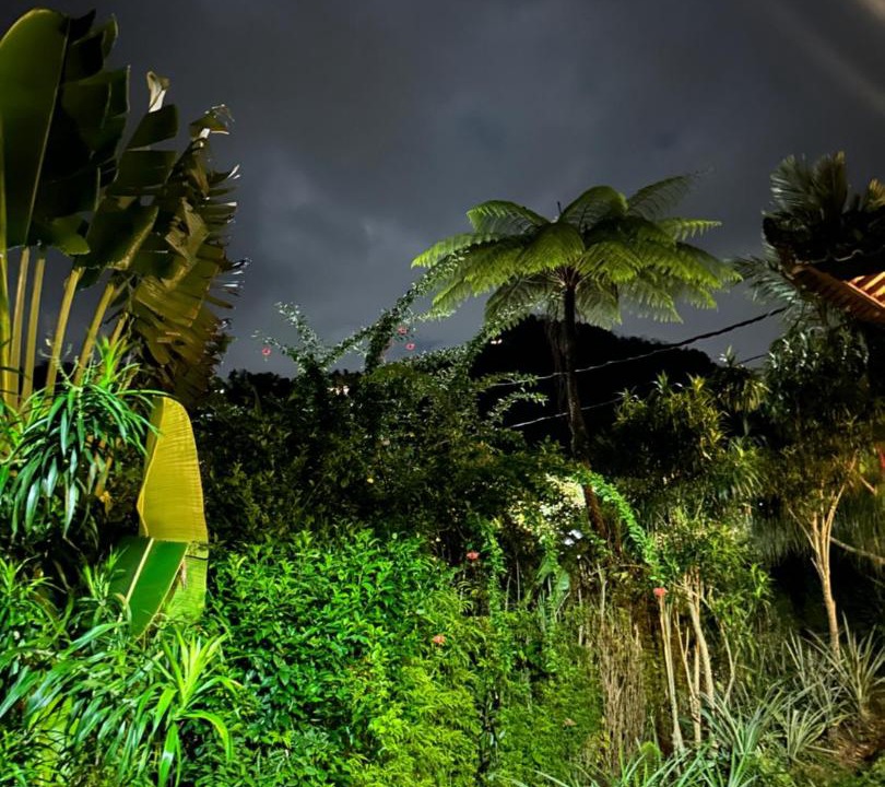 Photo of Others in Sidemen