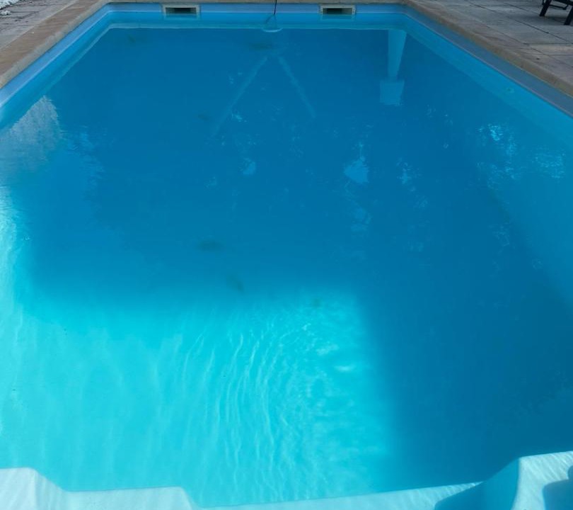 Photo of Others in Puget