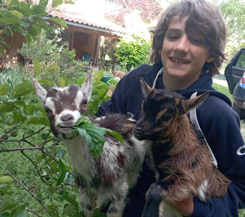 Photo of Others in Versols-et-Lapeyre