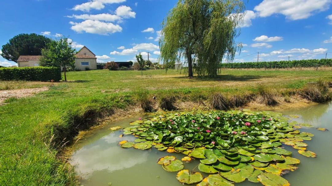 Photo of Others in Ruch