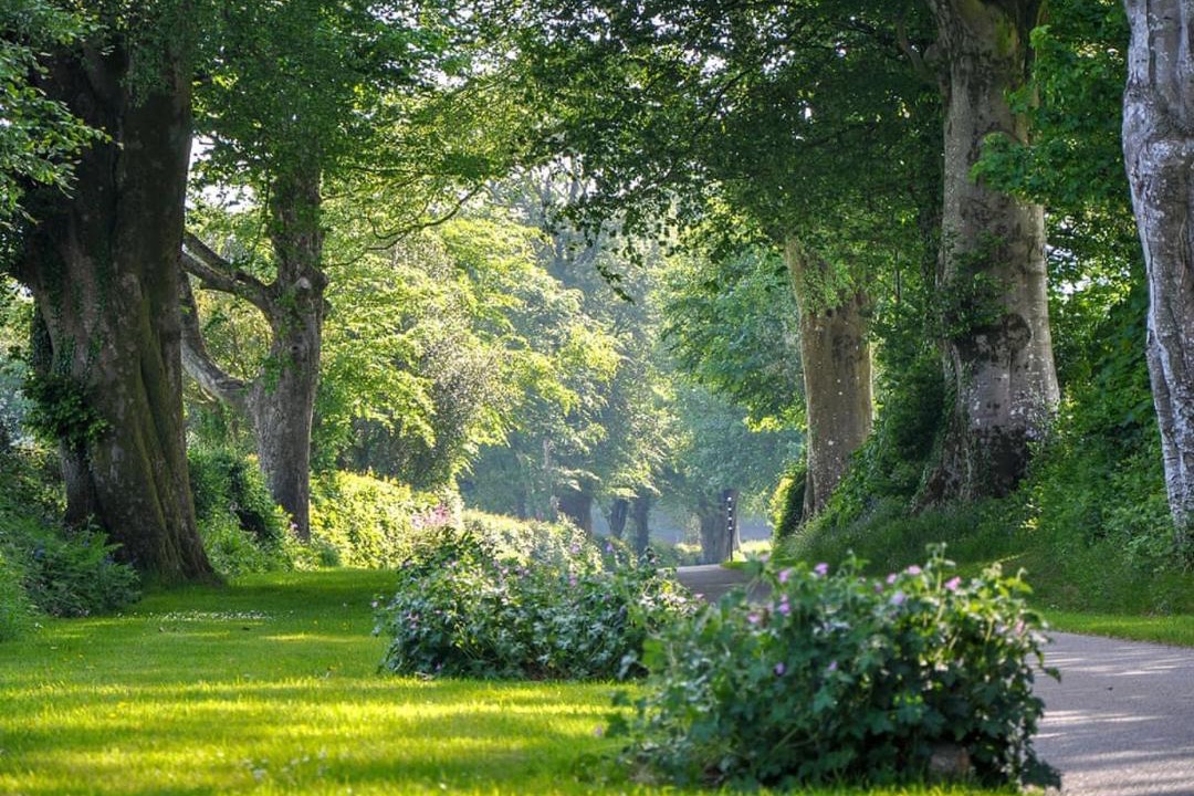Photo of Others in Saint Ann's Chapel