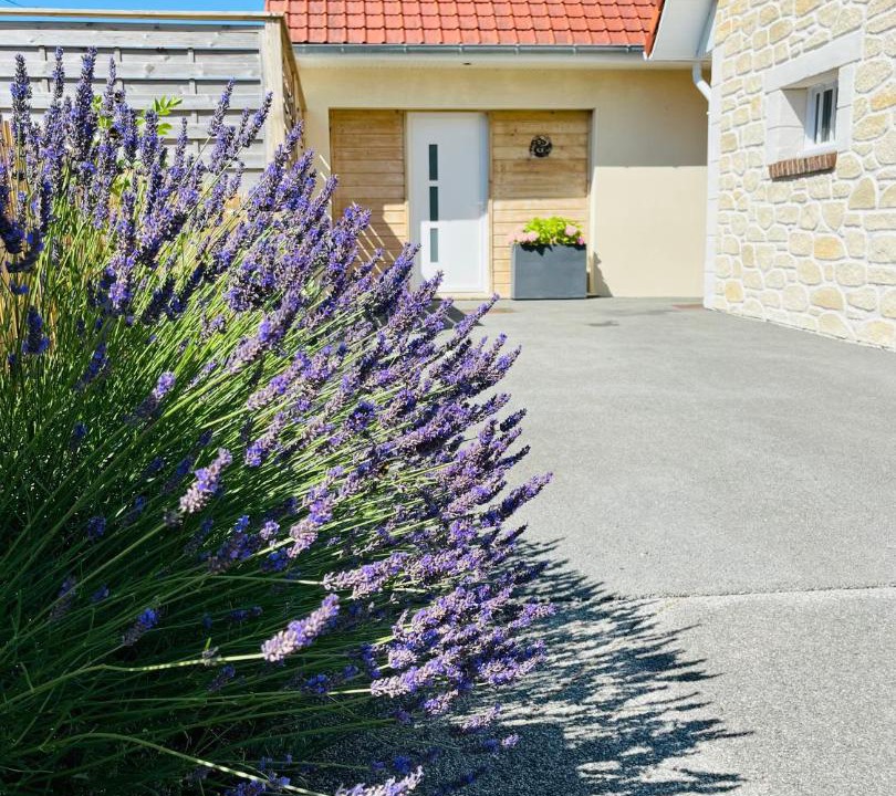 Photo of Others in Samer