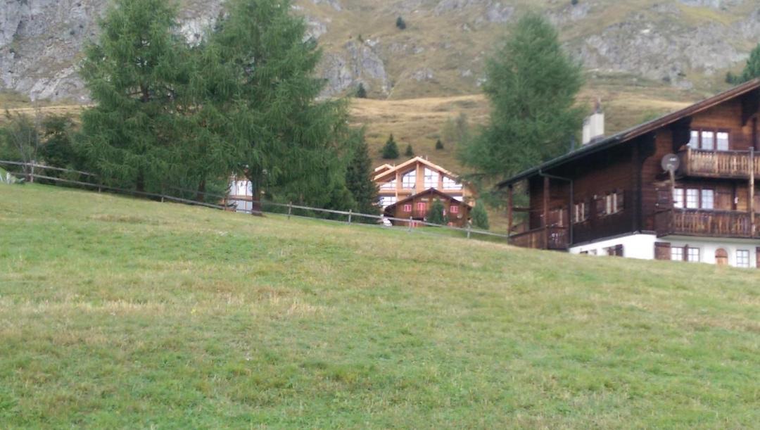 Photo of Others in Riederalp