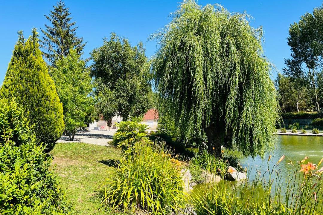 Photo of Outdoor in Samer