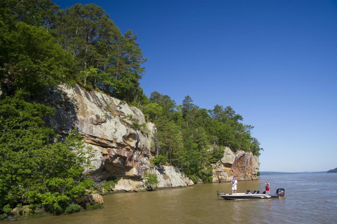 Photo of Others in Dardanelle