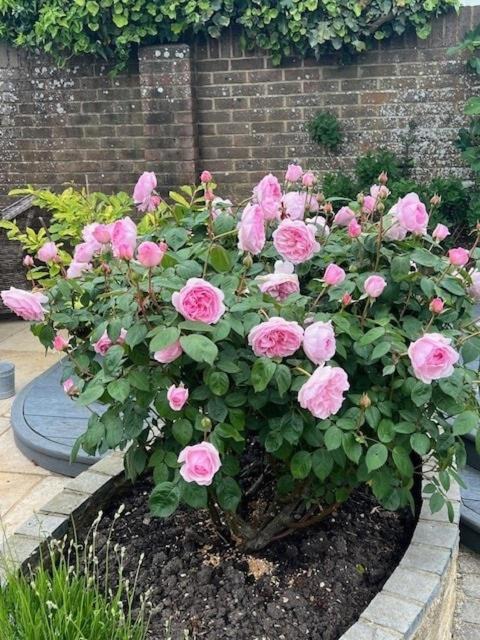 Photo of Outdoor in Angmering