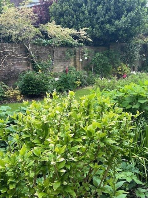 Photo of Outdoor in Angmering