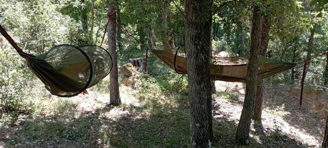 Photo of Others in Auriac