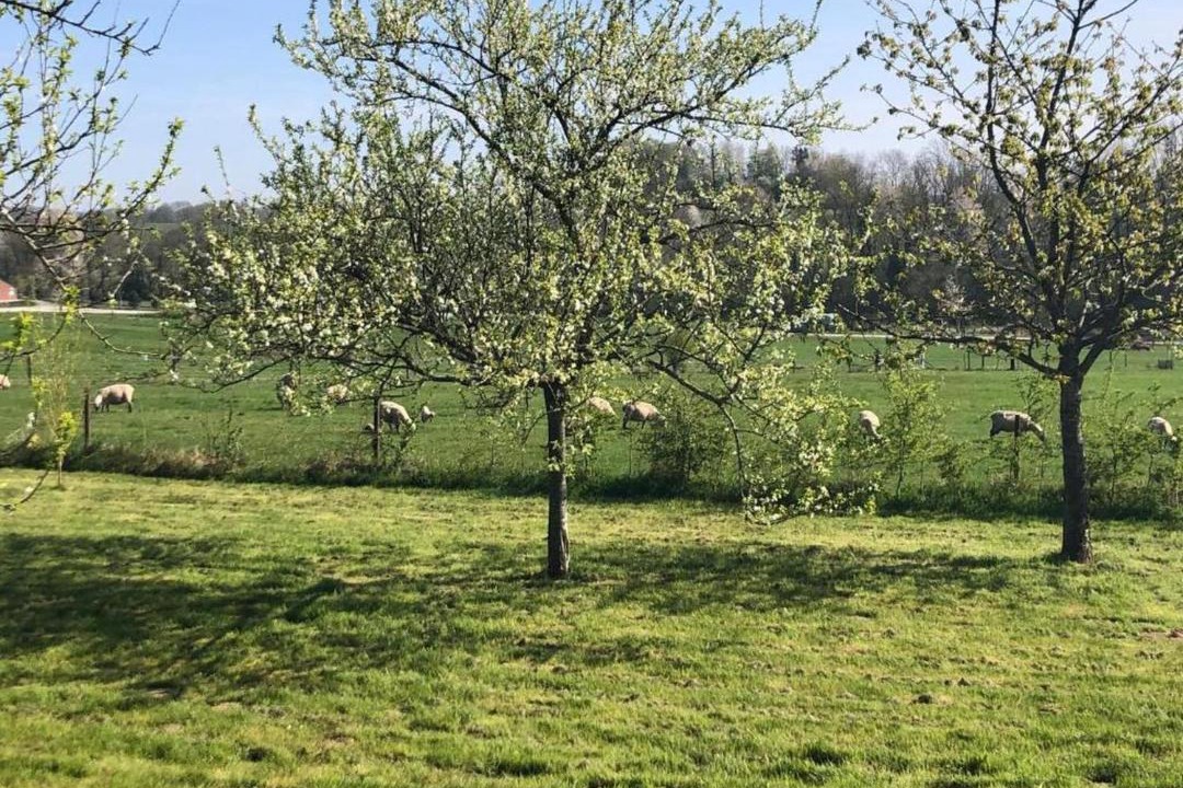 Photo of Outdoor in Signy-lAbbaye