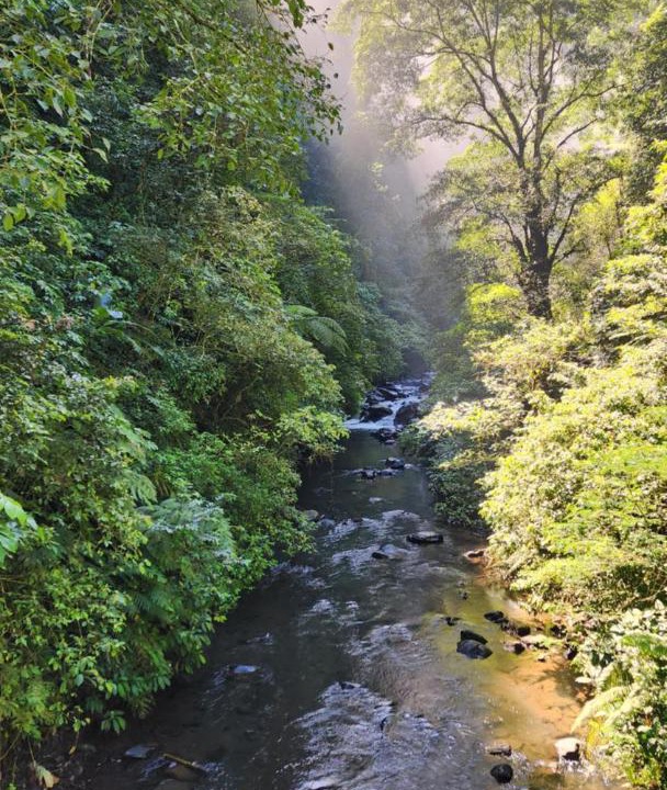 Photo of Others in Sawan