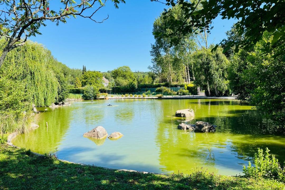 Photo of Others in Samer