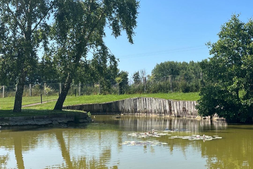 Photo of Others in Samer