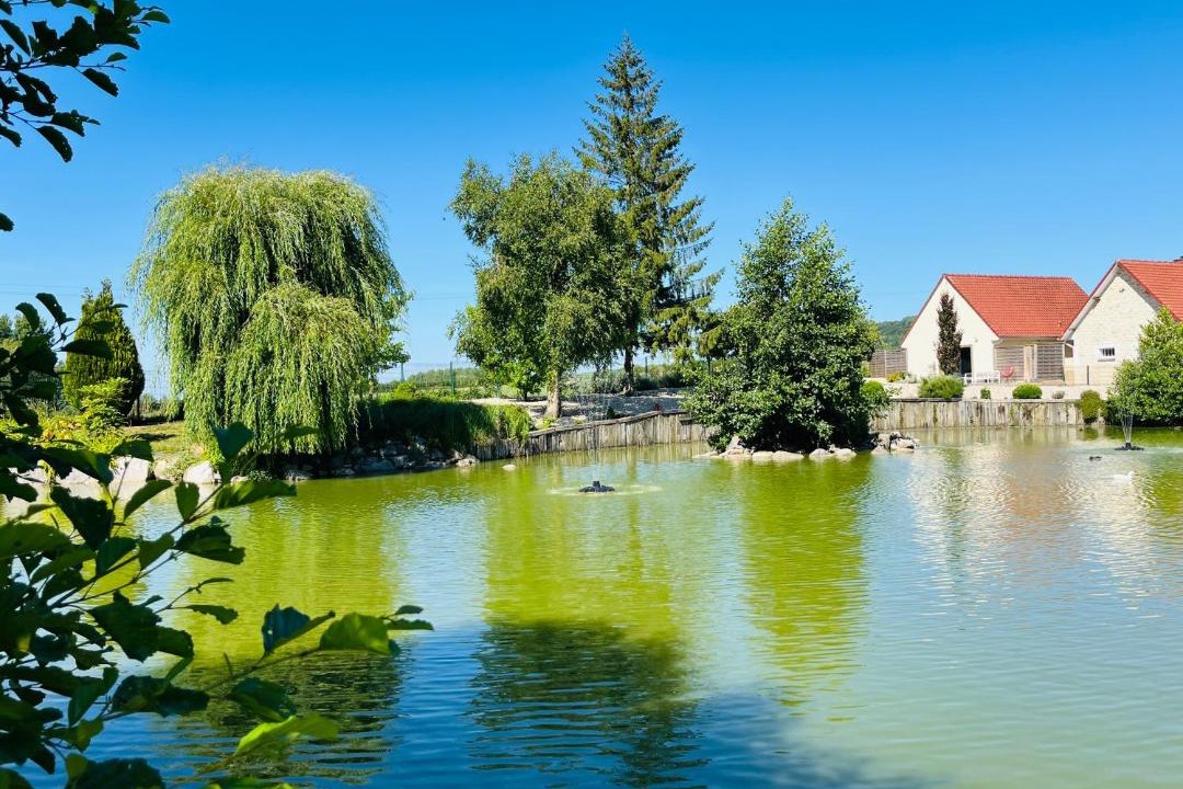 Photo of Others in Samer