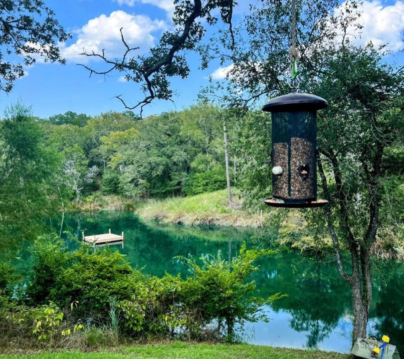 Photo of Others in Bastrop