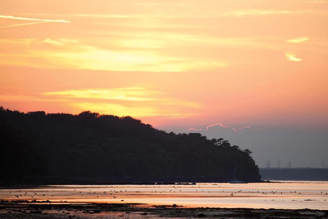 Photo of Others in Ryde