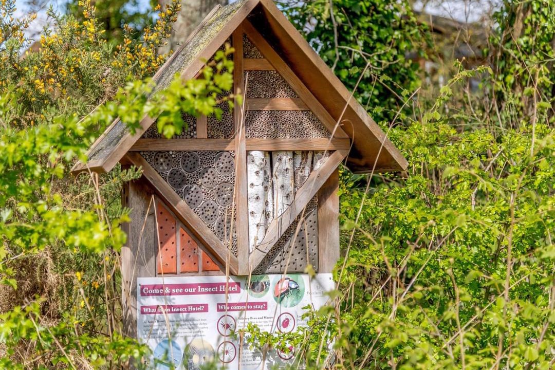 Photo of Others in Holton Heath