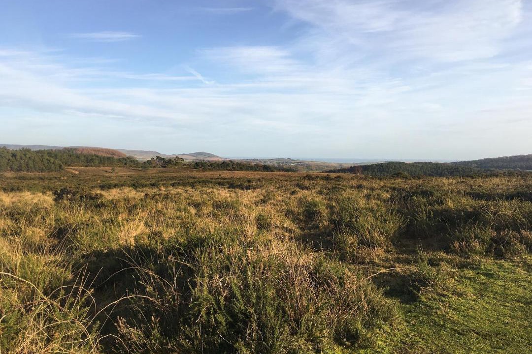 Photo of Others in Bettws Cedewain