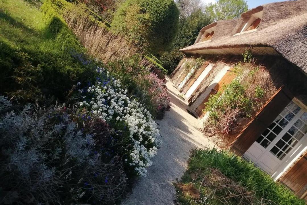 Photo of Others in Nexon