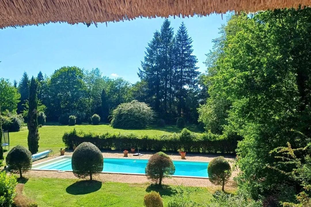 Photo of Others in Nexon