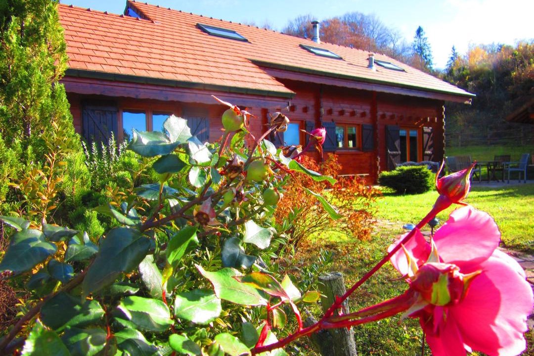 Photo of Others in Legna