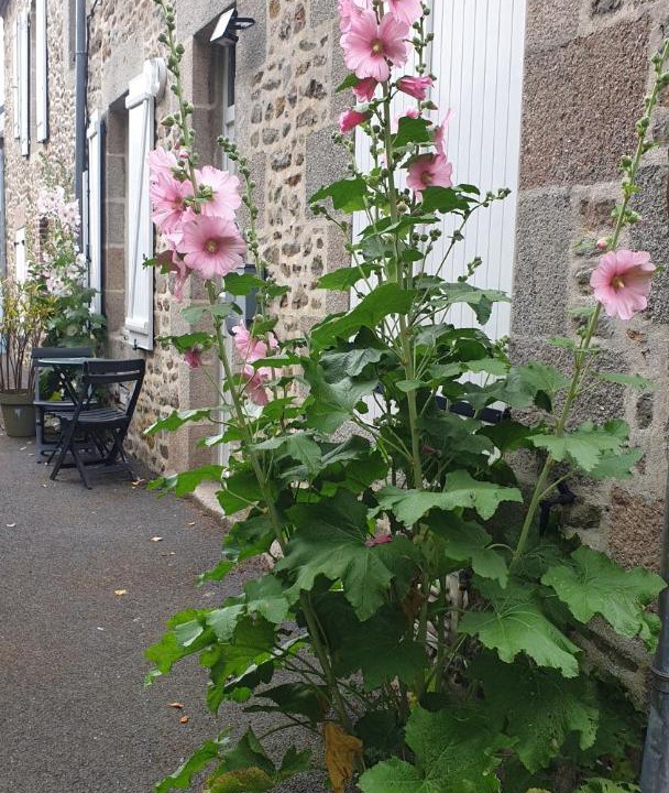 Photo of Others in Saint-Vaast-la-Hougue