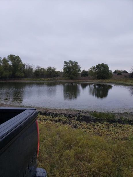 Photo of Others in Greenville