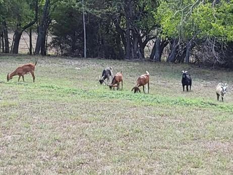 Photo of Others in Greenville