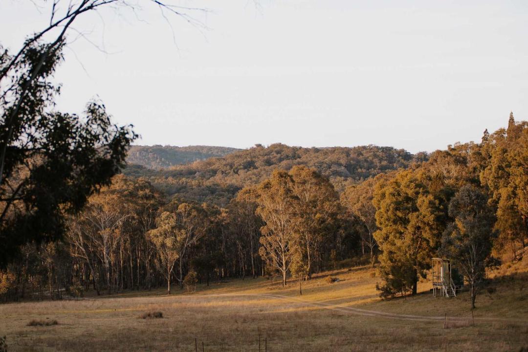 Photo of Others in Mid-western Regional Council