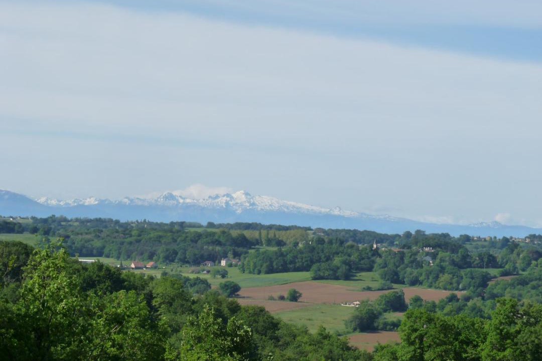 Photo of Others in Pimbo