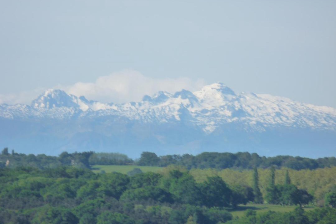 Photo of Others in Pimbo