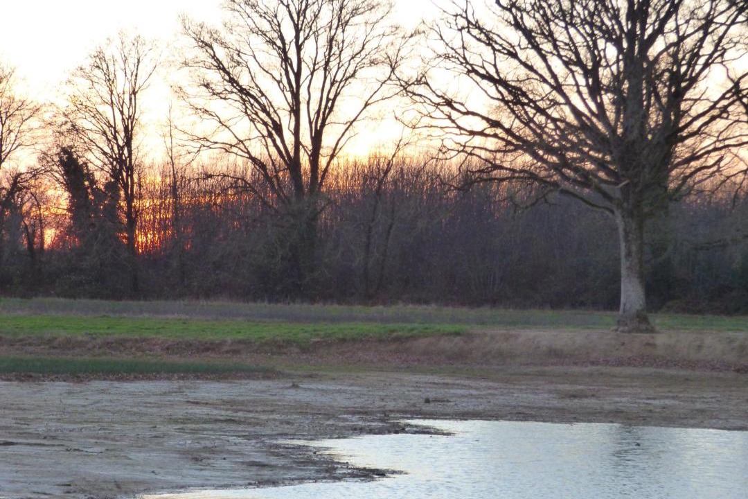 Photo of Others in La Roche-sur-Yon