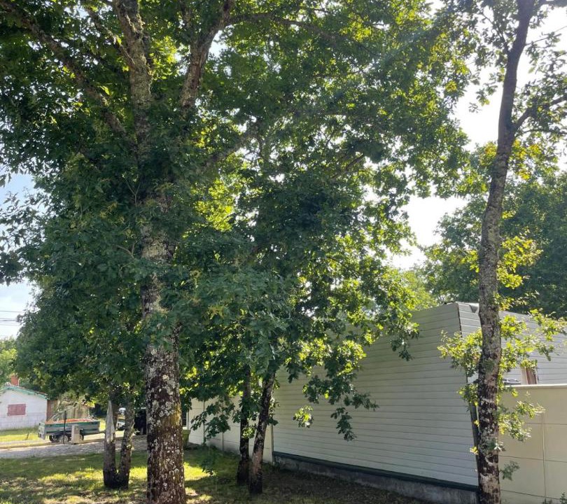 Photo of Others in Hourtin