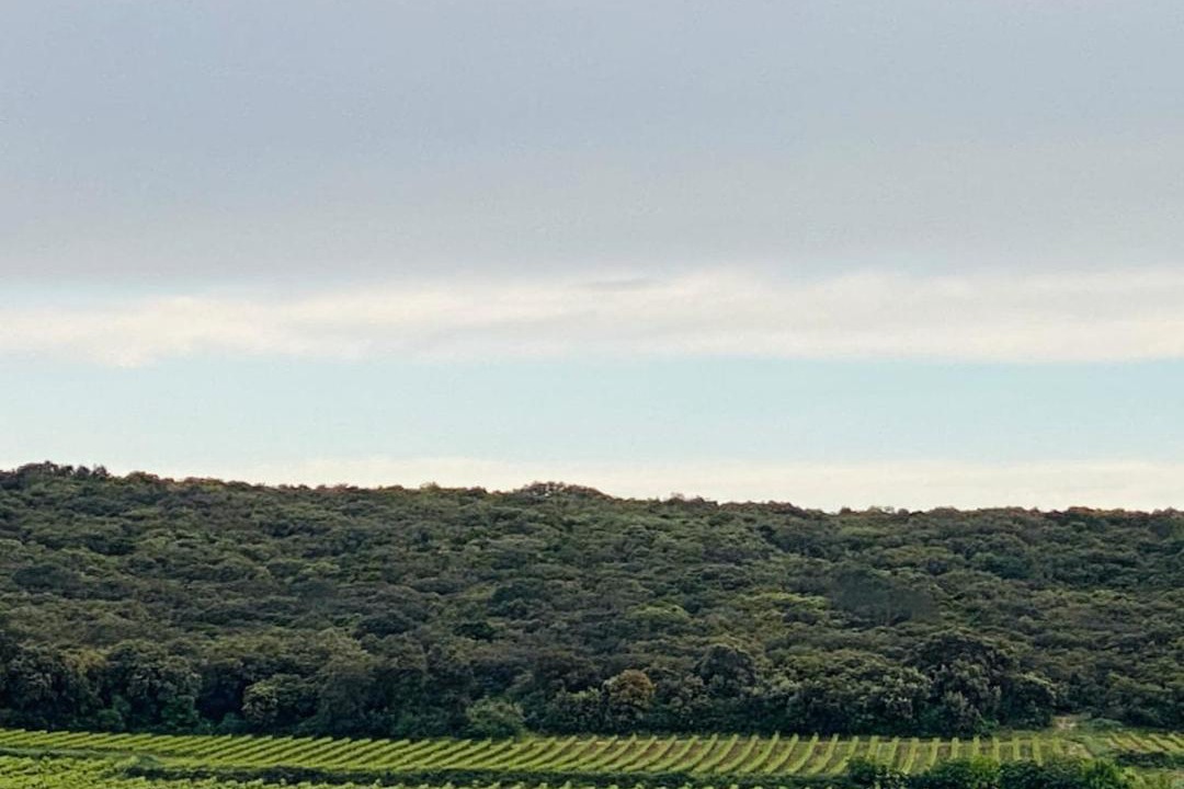 Photo of Others in Sagries