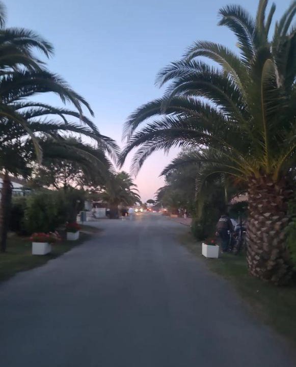 Photo of Others in Saint-Denis-d'Oleron