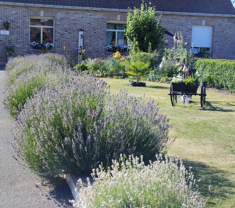 Photo of Others in Avroult