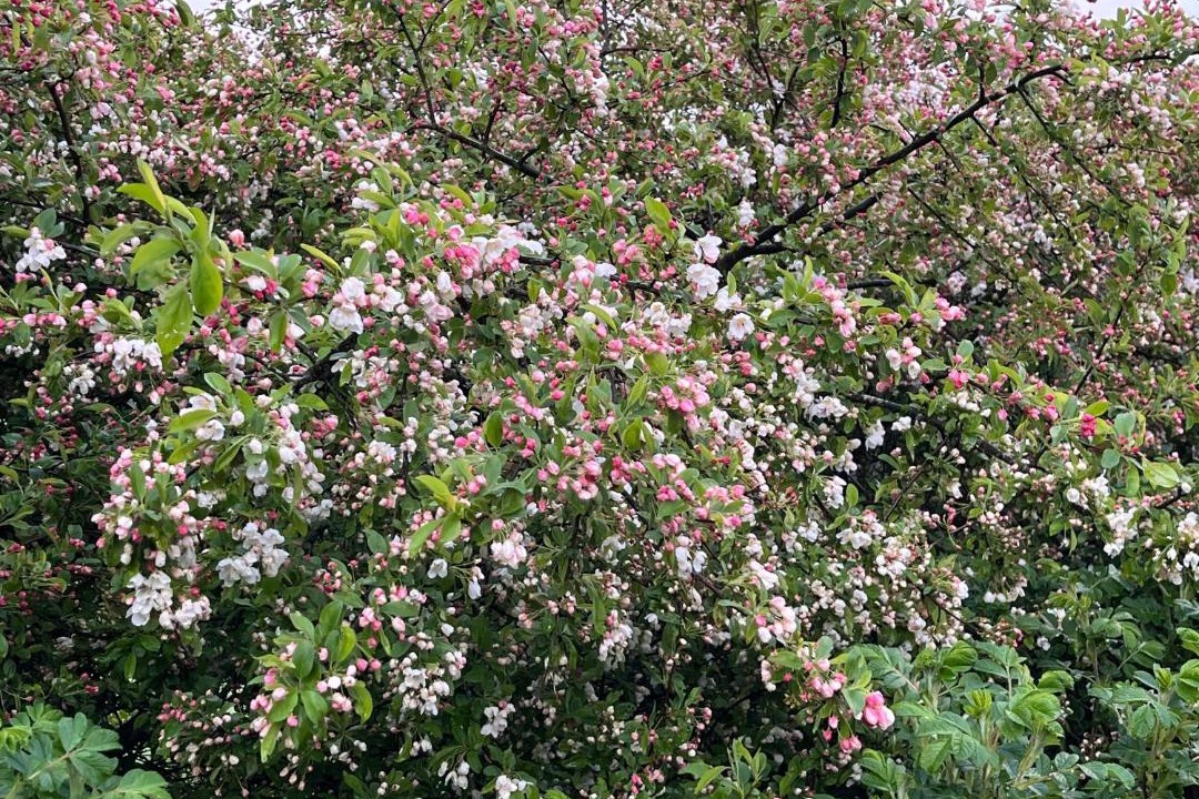 Photo of Outdoor in Bryrup