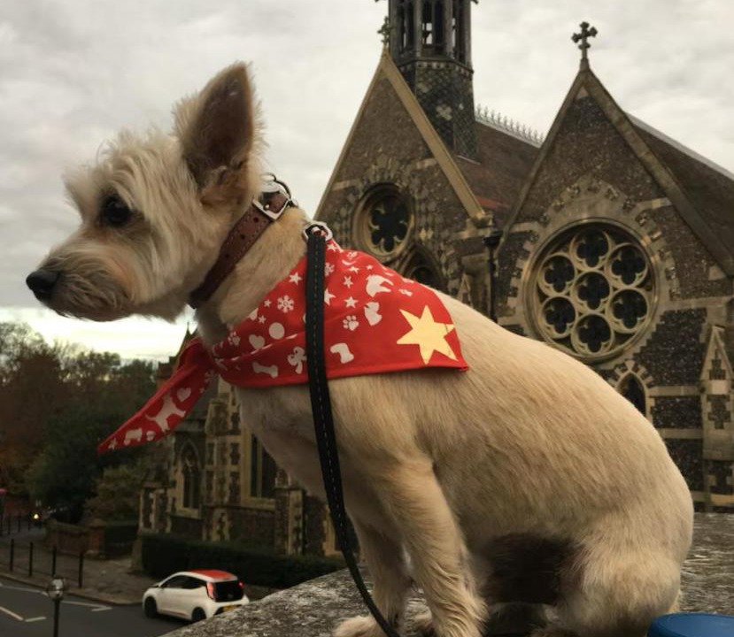 Photo of Others in Harrow