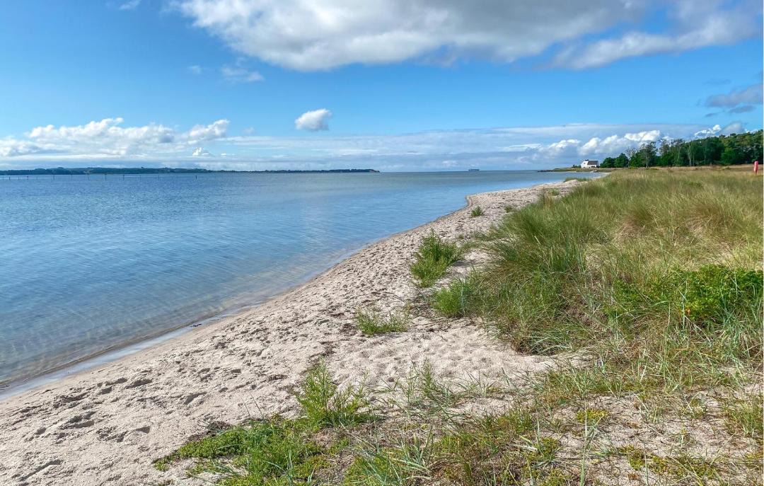 Photo of Others in Lystrup