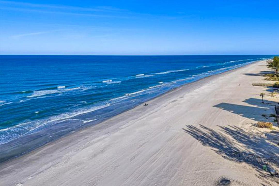 Photo of Others in Indian Shores